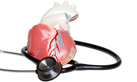 evitar la muerte celular en el miocardio durante la reperfusion siguiente horizonte en el manejo del iam