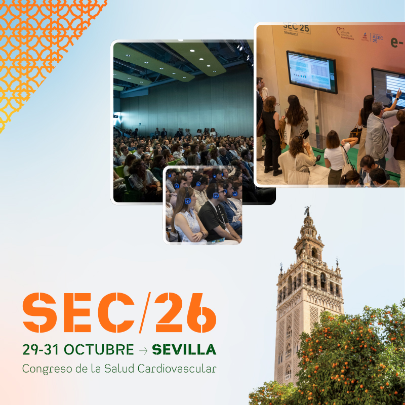 SEC 26