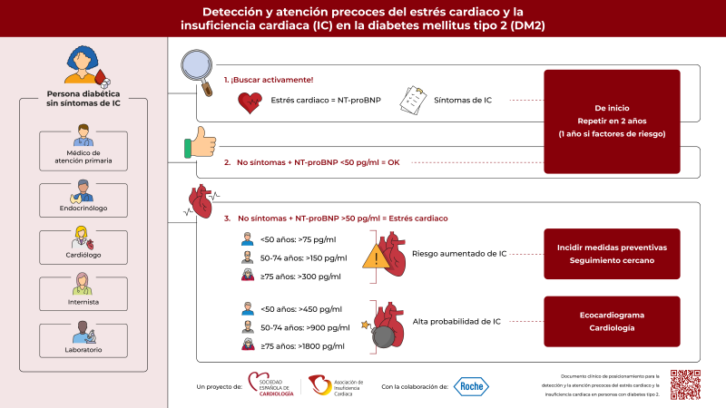 Documento clínico de posicionamiento para la detección y la atención precoces del estrés cardiaco y la insuficiencia cardiaca en personas con diabetes tipo 2