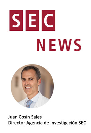 SEC News - diciembre 2025