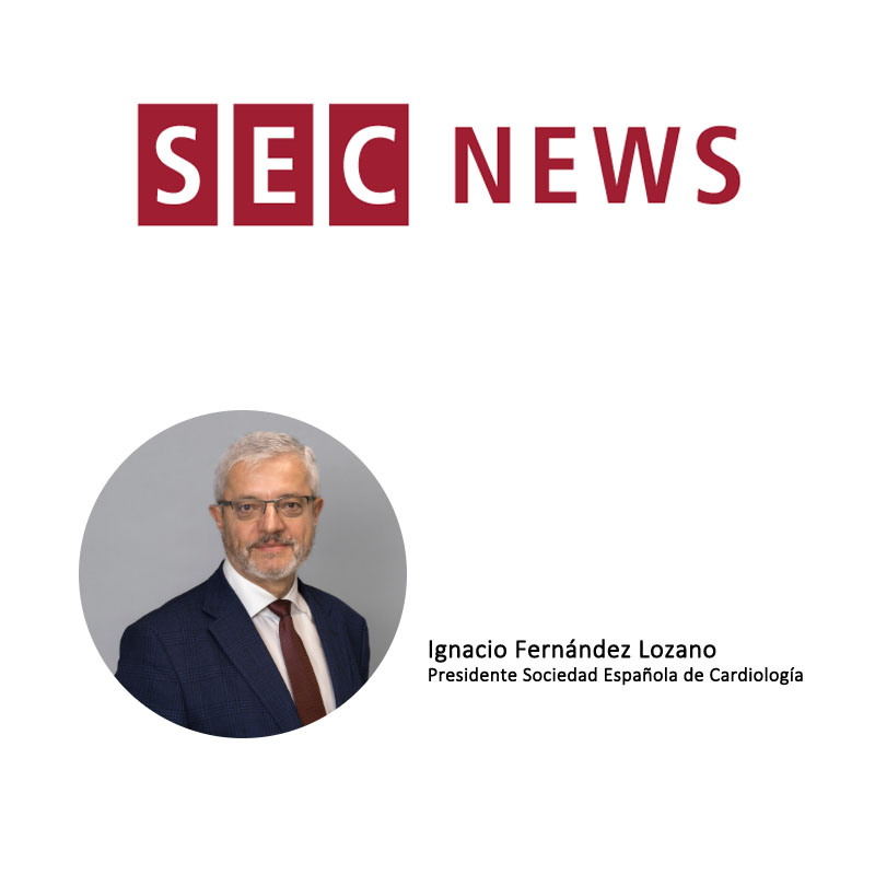 SEC News - noviembre 2025