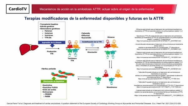 Mecanismos de acción en la amiloidosis ATTR: actuar sobre el origen de la enfermedad