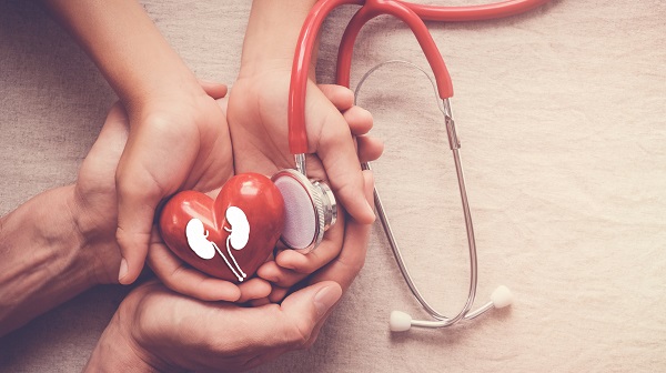 Primera iniciativa formativa en España sobre cardionefrología para mejorar el abordaje y la asistencia sanitaria a los pacientes con enfermedades renales y cardiovasculares