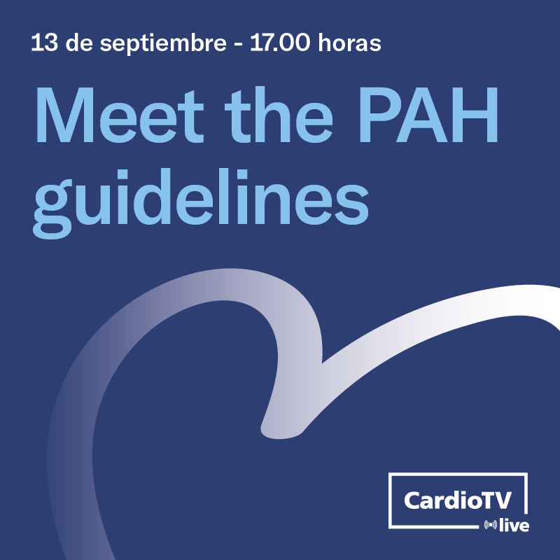 Meet the PAH guidelines