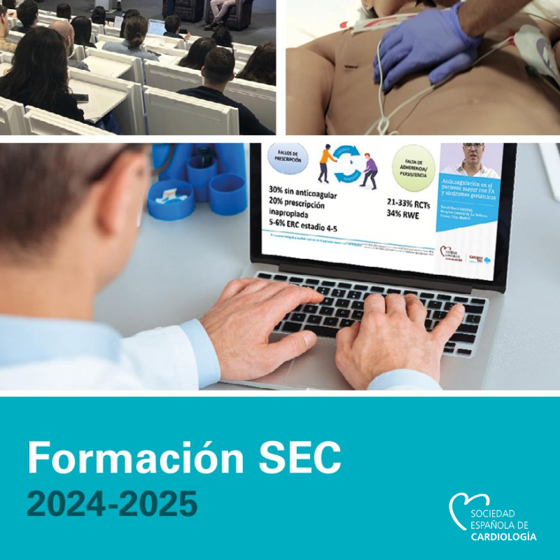 Catálogo Formación SEC 2024-2025