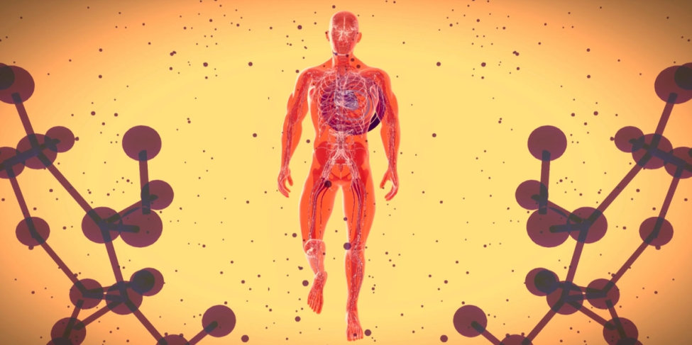 AMILOIDOSIS 1200X600