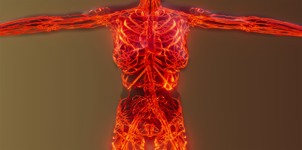 Inflamacion 1200x600
