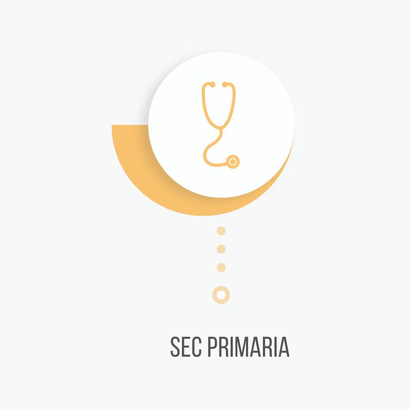 SEC Primaria