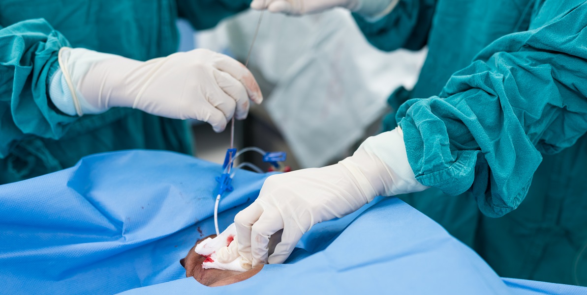 Máster de formación permanente en Intervencionismo Endovascular Estructural 2025-2027