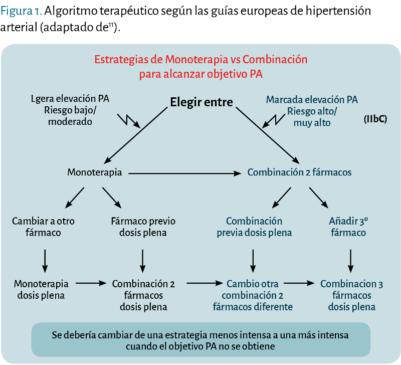 Algoritmo terapéutico según las guías europeas de hipertensión arterial.