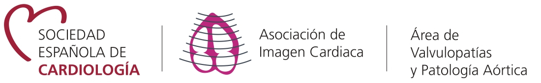 Área de Valvulopatías y Patología Aórtica