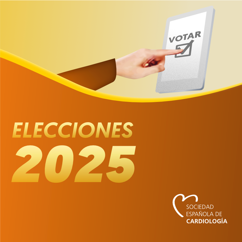 Elecciones 2025